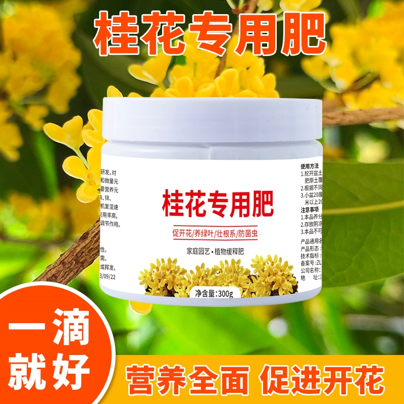 桂花树专用肥料养护营养液家庭园艺四季通用复合肥绿植促花养花花-图1