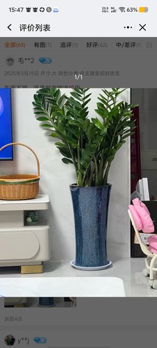 广东陶瓷花盆大号陶瓷花盆发财树蕙兰花盆 客厅绿植陶瓷花盆 - 图1