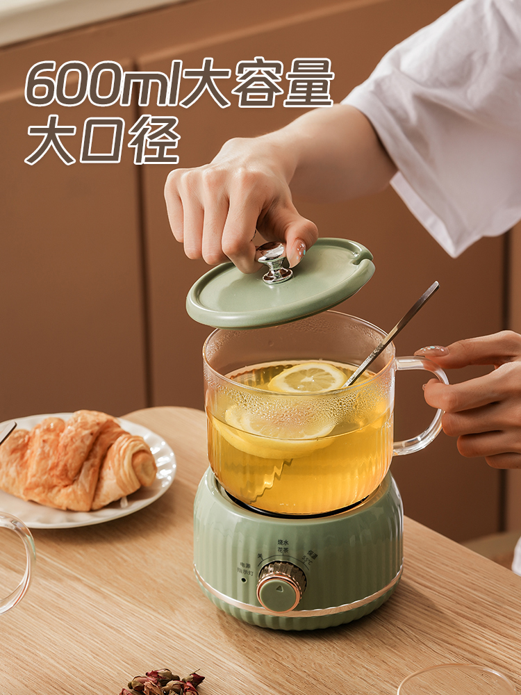 养生壶小型办公室多功能mini养生杯2024新款家用煮茶烧水壶花茶壶-图3