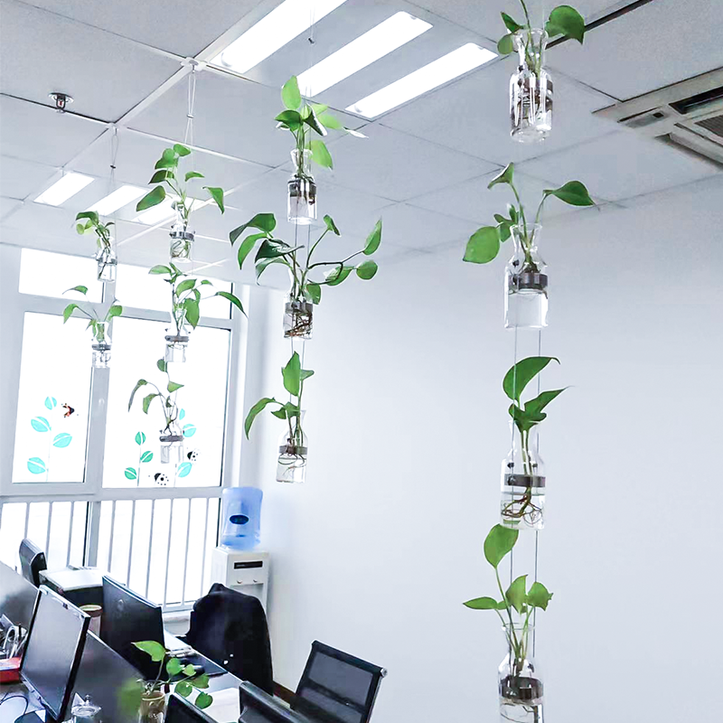 创意轻奢玻璃水培花瓶绿植隔断家居幼儿园植物风铃墙上装饰品挂件,淘宝优惠券,粉丝福利购,淘宝优惠卷