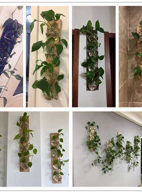 水培植物花瓶挂件玻璃简约木质