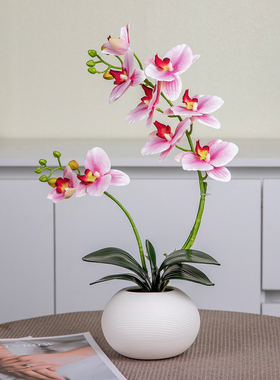仿真手感胶蝴蝶兰现代家居装饰花