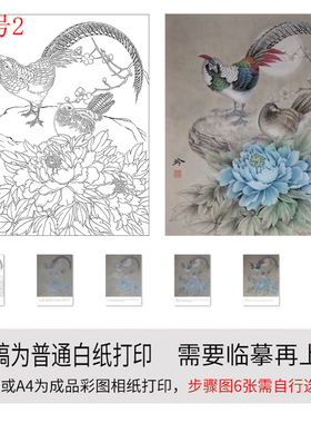 国画工笔画打印白描底稿牡丹锦鸡初学者临摹勾线上色过稿练习