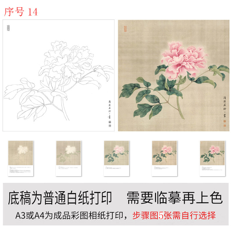 有步骤图工笔画打印白描底稿没骨牡丹用于初学者临摹勾线练习上色,淘宝优惠券,粉丝福利购,淘宝优惠卷