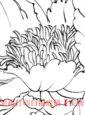 (有步骤图)工笔画打印白描底稿郑玲玲圆形团扇初学者临摹勾线练习