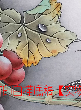 工笔画打印底稿葡萄团扇斗方初学者白描宣纸过稿DY玄关表箱装饰