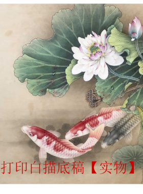 工笔画打印白描底稿素材花鸟团扇斗方初学者临摹练习