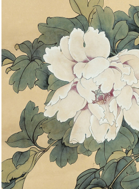 工笔画底稿于非闇竖幅小品牡丹仿宋花卉高清打印稿线描初学者临摹