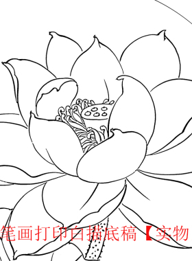 步骤工笔画打印白描底稿团扇临摹