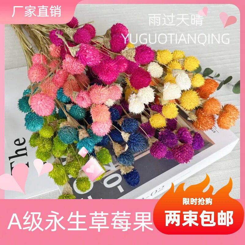 草莓果花束配花草莓果干花天然干花千日红花束小清新ins风发财果,淘宝优惠券,粉丝福利购,淘宝优惠卷