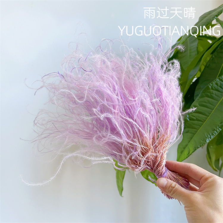 仙气羽毛草梦幻草仙鸟羽保鲜花永生羽毛草干花永生仙草装饰插花