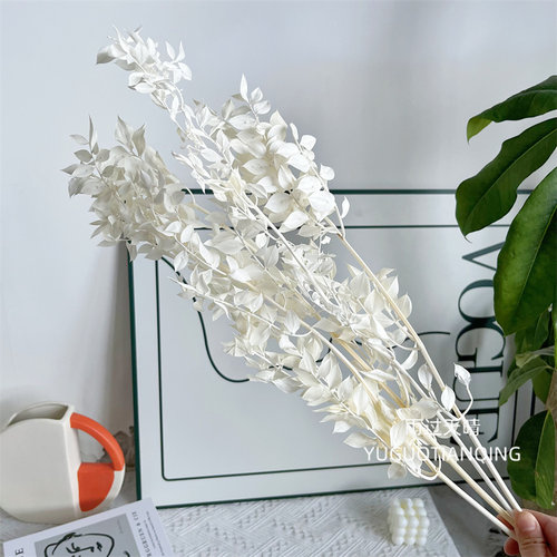 雨过天晴永生花富贵叶整把金银色小叶子小叶配饰花盒装饰DIY - 图1