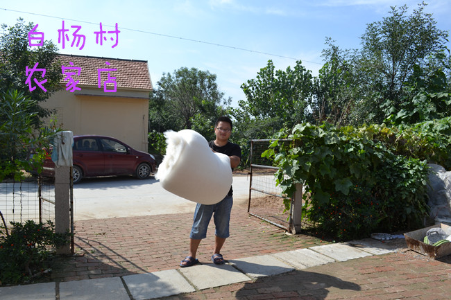 纯手工棉花被单双人儿童被学生被子被芯空调被夏凉春秋被冬被8斤