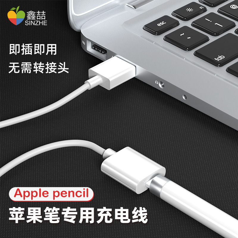 适用Apple苹果pencil转接头一代笔帽iPad触控笔笔套ipencil充电器二代保护套Applepencil充电线平板笔尖C021 - 图2