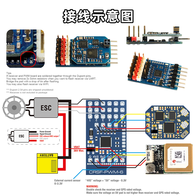 MATEKSYS CRSF ELRS转PWM6通道转接板接收机黑羊TBS915MHz 2.4GHz - 图2