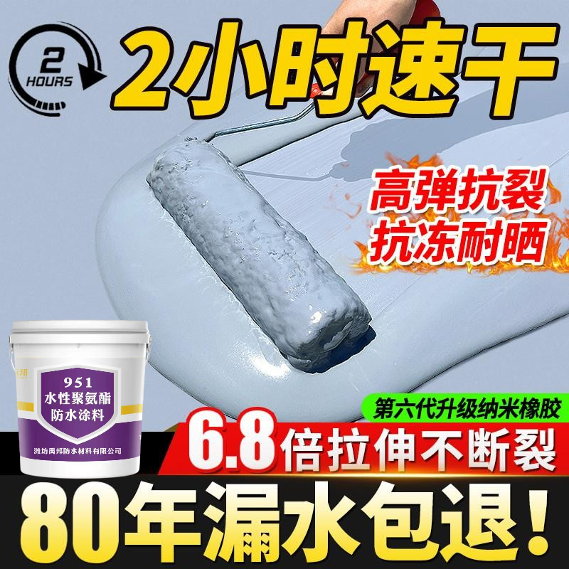 屋顶专用防水涂料防水材料屋顶补漏防水裂缝堵漏防晒抗冻防水涂料 - 图0