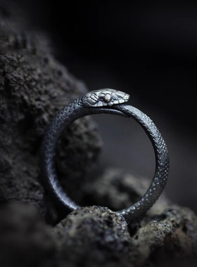 衔尾蛇活口戒指男情侣首饰女百搭配饰小众复古个性街头高级感饰品