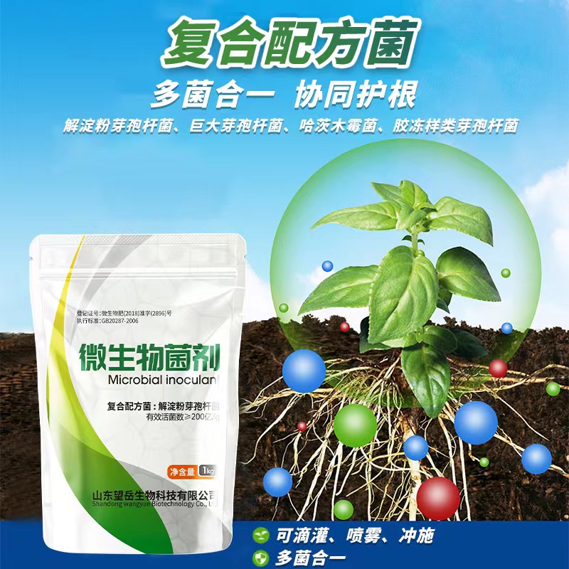 微生物菌剂微生物菌肥生物菌剂哈茨木霉菌剂枯草芽孢杆菌护根农用 - 图2