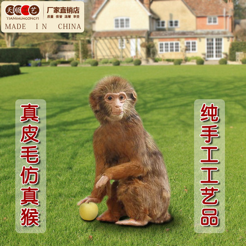 2023新款仿真猴子模型标本展示布置道具专业制作动物玩偶工艺品 - 图2