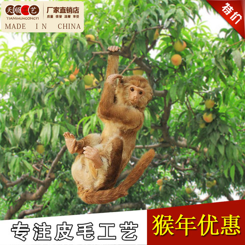 2023新款仿真猴子模型标本展示布置道具专业制作动物玩偶工艺品 - 图0