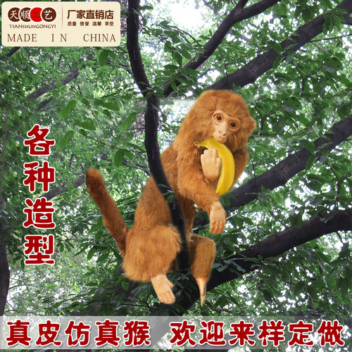 2023新款仿真猴子模型标本展示布置道具专业制作动物玩偶工艺品 - 图1