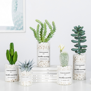 多肉仿真植物ins北欧盆栽