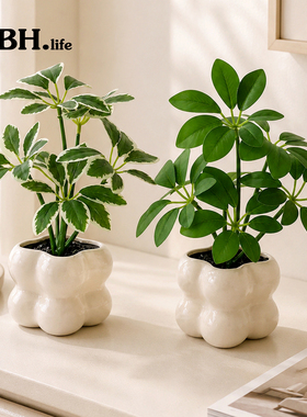 现代简约仿真绿植桌面装饰摆件