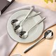 Stainless steel soup spoon long handle round spoon rice spoon fruit spoon