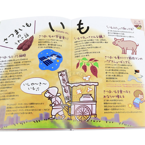 现货【深图日文】野菜の教え 秋.冬編 秋季/冬季蔬菜教学 食谱 料理 群羊社 日本原装进口书籍 正版 - 图3