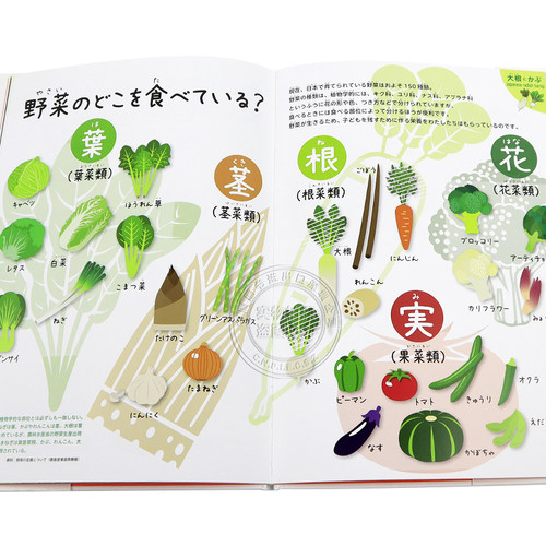 现货【深图日文】野菜の教え 秋.冬編 秋季/冬季蔬菜教学 食谱 料理 群羊社 日本原装进口书籍 正版 - 图2
