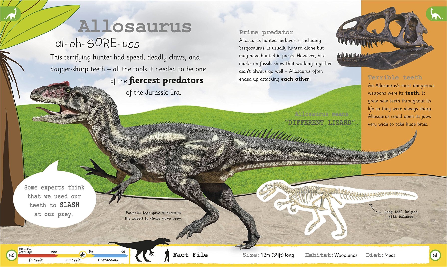 英文原版 DK儿童百科全书2册精装My Encyclopedia of Very Important Dinosaurs /Oceans那些重要的事恐龙 少儿英语科普 - 图2