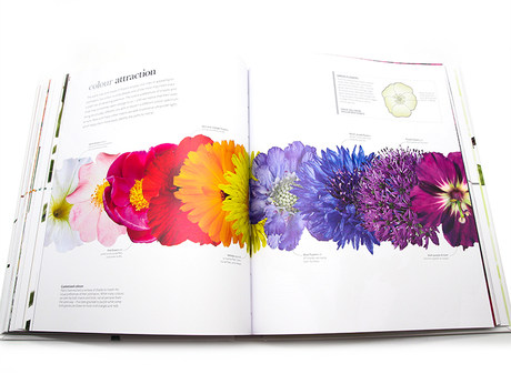 Dk百科系列花 植物的秘密世界英文原版flora Inside The Secret World Of