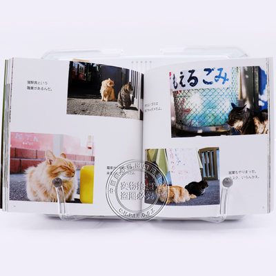 现货 深图日文 猫だって鼻提灯くらいできるもん 猫咪可爱摄影集あおいとり 著 青菁社 虎窝淘