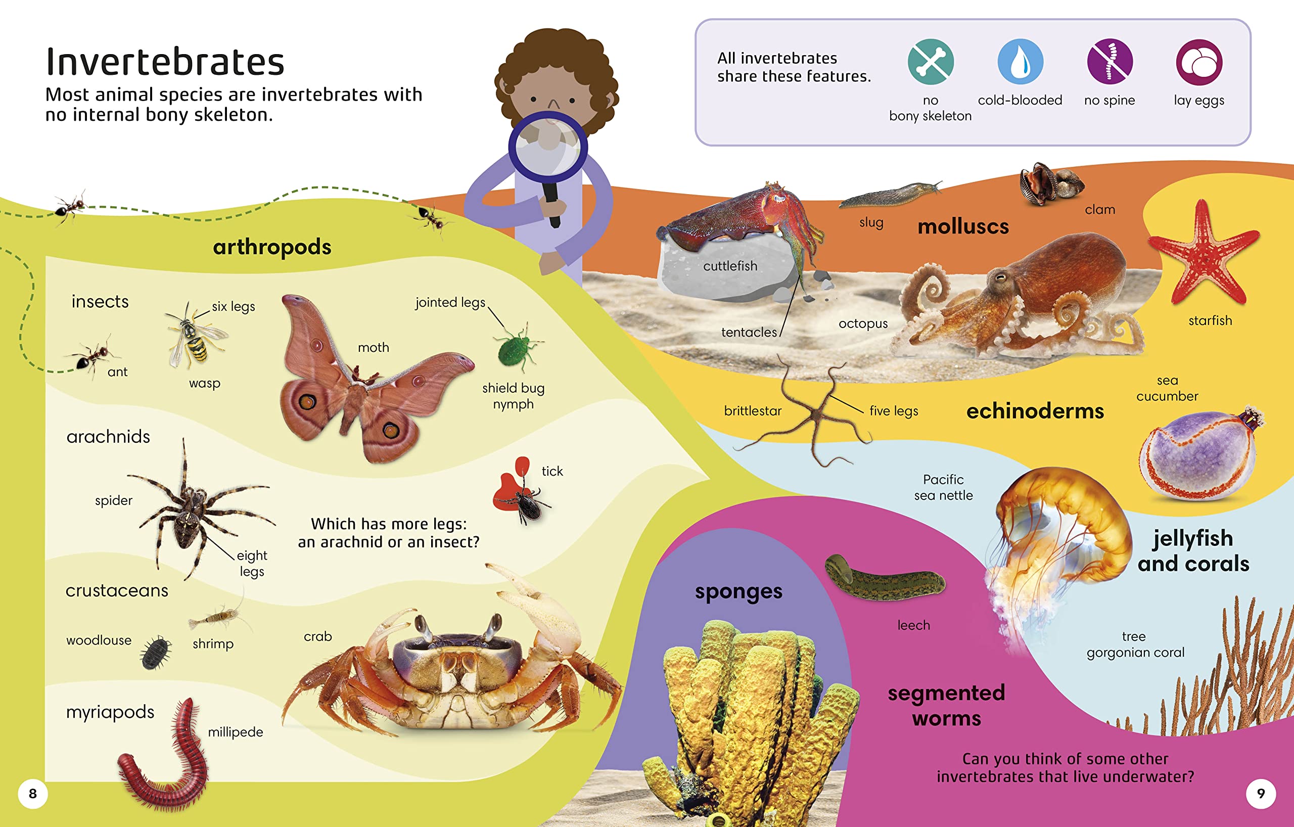 英文原版 1000个动物单词建立动物词汇和读写技能 1000 Animal Words: Build Animal Vocabulary and Literacy Skills