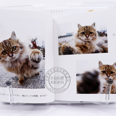 现货 深图日文 猫だって鼻提灯くらいできるもん 猫咪可爱摄影集あおいとり 著 青菁社 虎窝淘