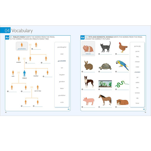 英文原版 DK 人人学英语1练习册 初学者 English for Everyone Practice Book Level 1 Beginner - 图1