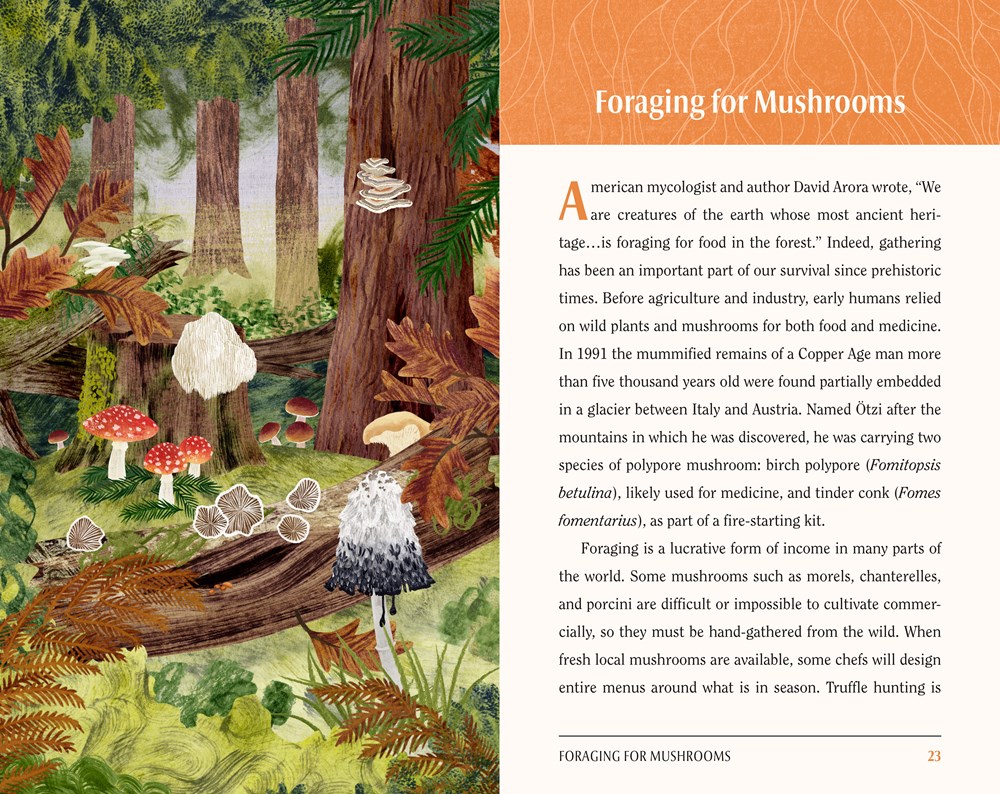英文原版 这是一本为爱蘑菇的人写的书 This Is a Book for People Who Love Mushrooms 蘑菇指南 蘑菇爱好者之书 进口英文版正版