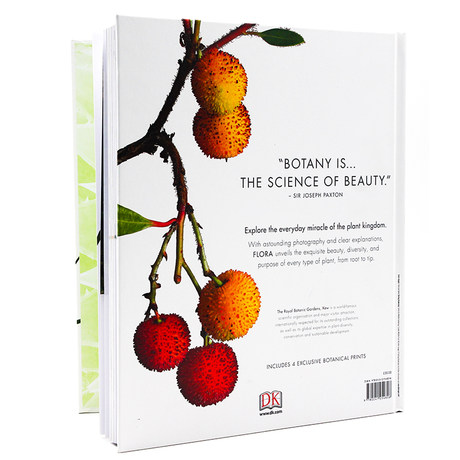 Dk百科系列花 植物的秘密世界英文原版flora Inside The Secret World Of