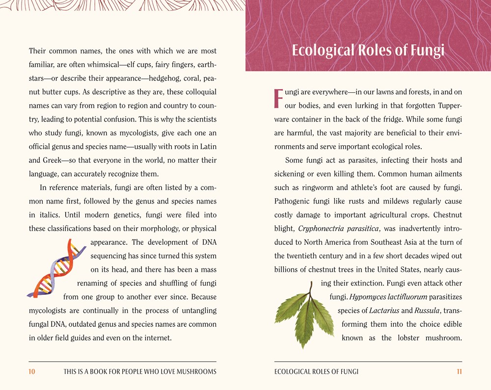 英文原版 这是一本为爱蘑菇的人写的书 This Is a Book for People Who Love Mushrooms 蘑菇指南 蘑菇爱好者之书 进口英文版正版