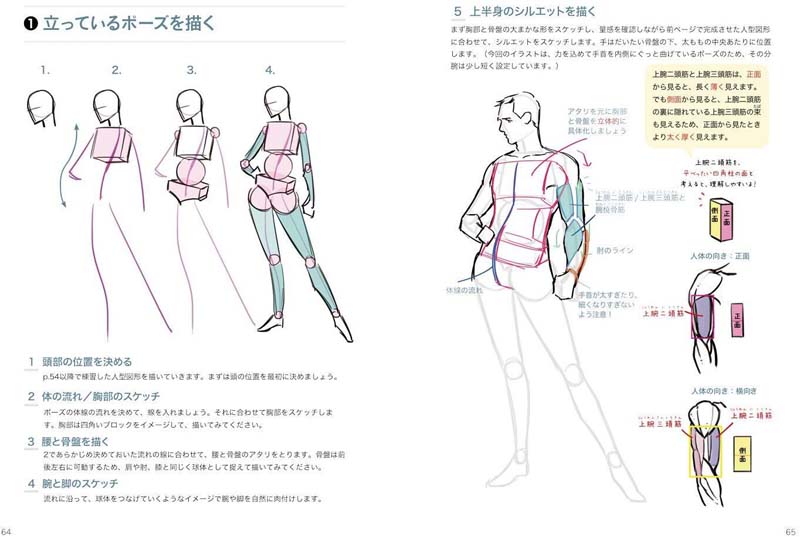 现货【深图日文】帅气身体的画法ハンサムホディの描き方ダビ金智恵素描绘画マール社艺术美术日本原装进口书籍正版-图3