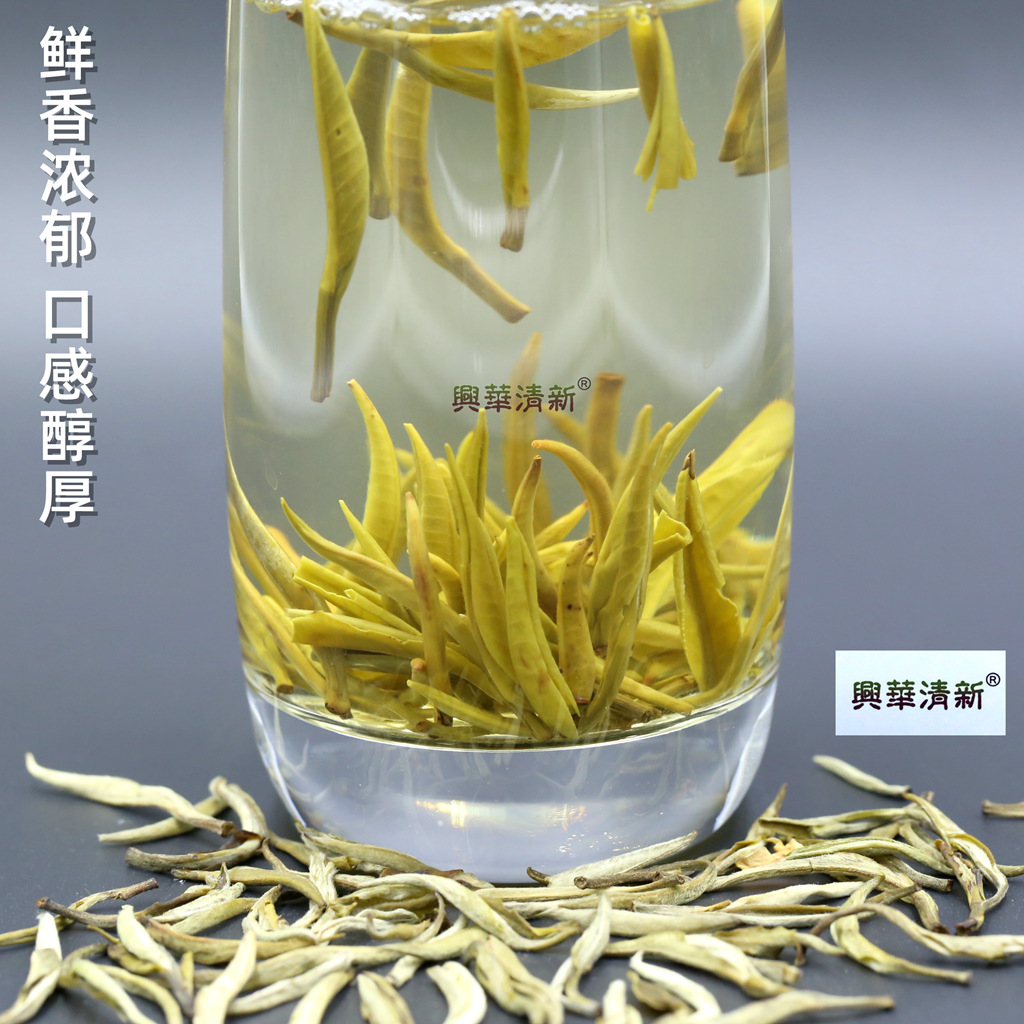 2024新茶茉莉花茶叶浓香针王云南元江茉莉白毫银针茶王250克袋装 - 图1