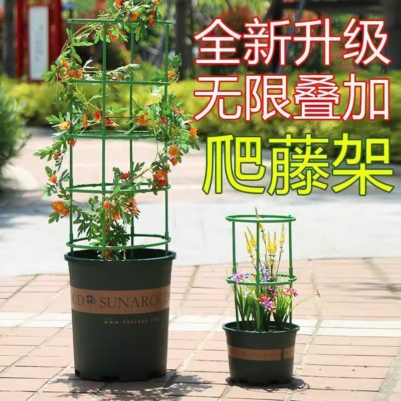 植物支撑杆园艺支架花架爬藤支架室内阳台户外绿萝蟹爪兰固定支架