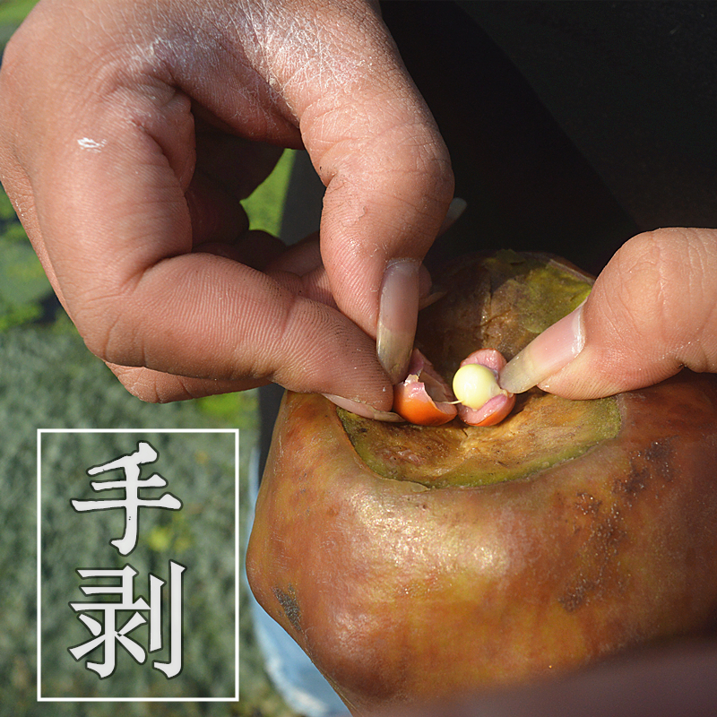 2025正宗苏州南塘纯手剥大丹鸡头米新鲜冰冻芡实米苏芡400克 - 图1