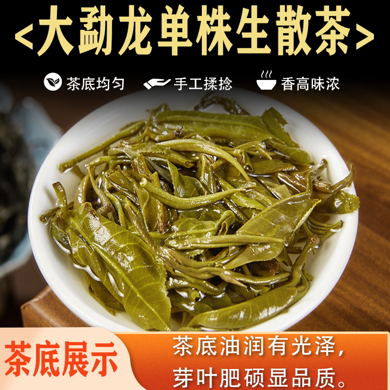 2024新茶云南普洱茶生茶散茶500g单株挑采古树纯料小勐宋阿克老寨 - 图2