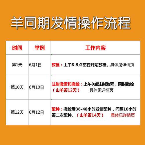羊用海绵栓 兽用羊棉栓 羊同期导管式母羊棉栓 羊人工发情技术 - 图0