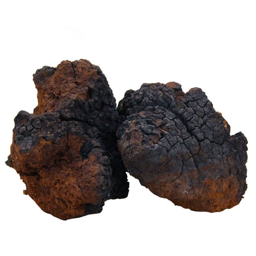 Березовая слеза дикая даксинганлинга 500 г бело -березовые дерево бархат настоящий натуральный березовый коричневый гриб не -Чанбайя гора Россия