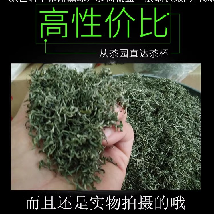 2024新茶江西遂川汤湖狗牯脑茶明前茶珍品500克 - 图0