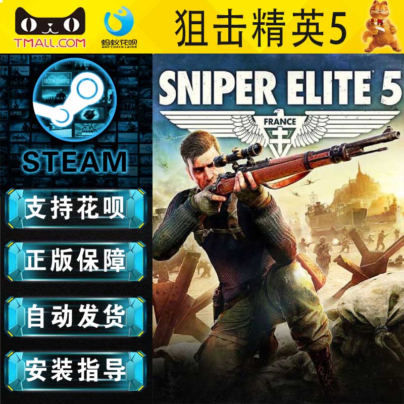 PC正版 steam 中文游戏 狙击精英5 Sniper Elite 5  射击 动作冒险 - 图2