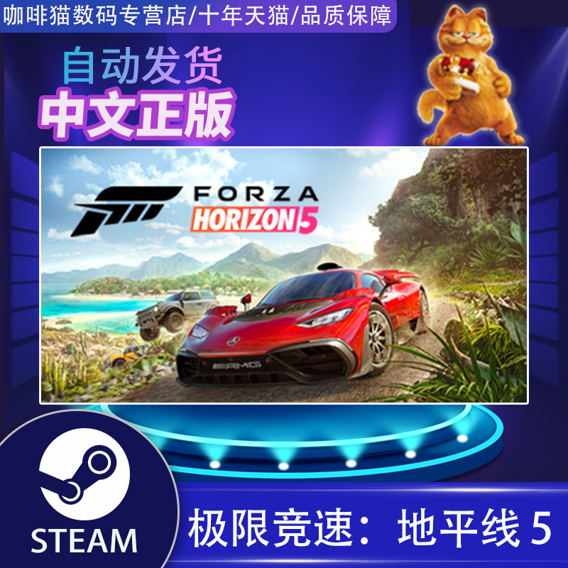 PC正版Steam  极限竞速地平线5 国区礼物/土区/全球  Forza Horizon 5  中文游戏 - 图0