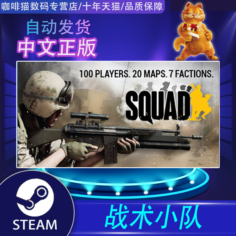 STEAM PC正版中文 Squad 战术小队 行动小组 阿区/土区/国区/俄区/印度全球激活码 礼物/成品号 - 图0